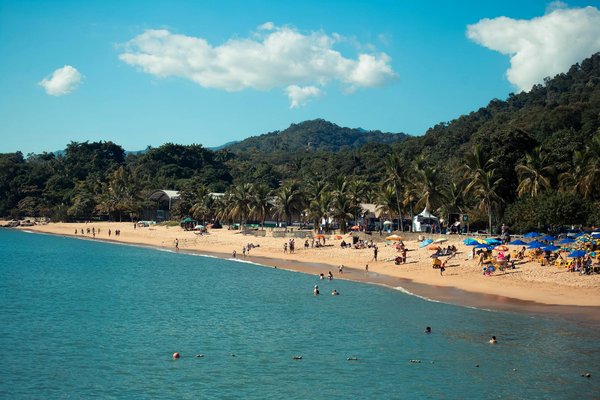 Escapades Inoubliables en Camping-Car avec Votre Fidèle Compagnon : Le Guide Complet pour des Aventures Réussies