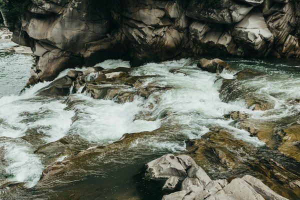 Aventures Maritimes Exceptionnelles : Découvrez les Croisières Thématiques qui Révolutionnent le Voyage